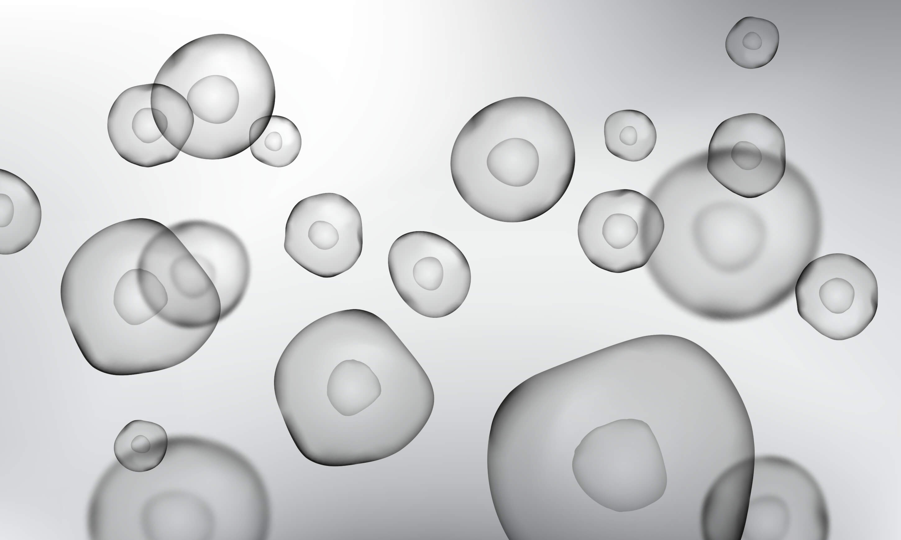 The three distinct levels of biological functions within an organism and therefore three possible places to look for age-related changes